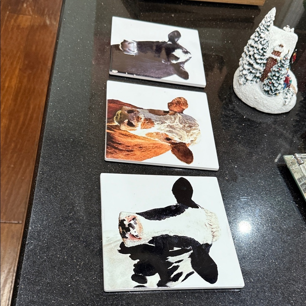 Cow Print Ceramic Coasters Set